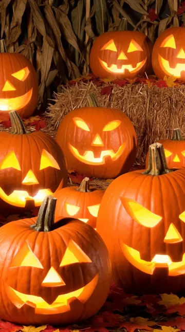 Champ de citrouilles lumineuses